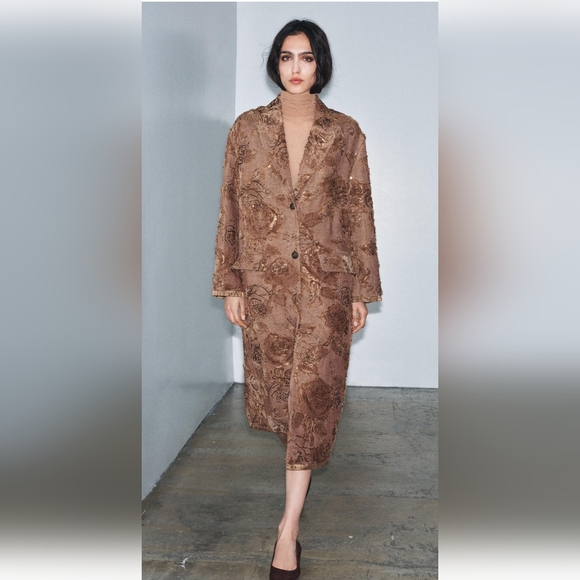 ZARA ZW COLLECTION LIMITED EDITION LIGHT PINK EMBROIDERED LONG COAT ✨️✨️✨️ - Picture 2 of 8